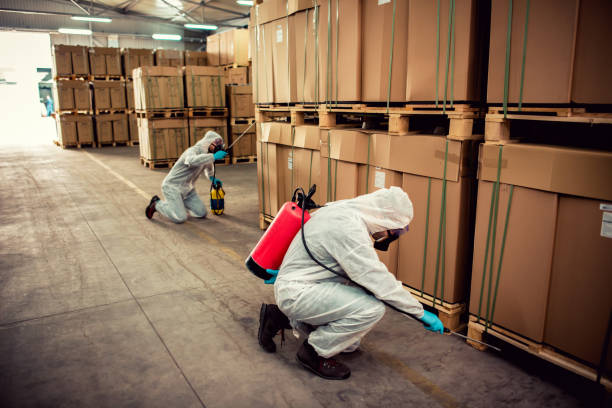 Best Insect Control  in Amarillo, TX