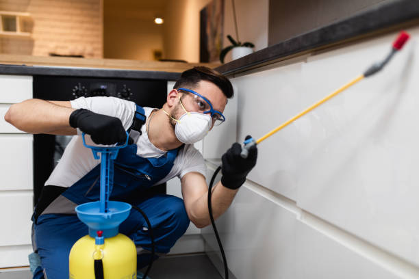 Best Affordable Pest Control Services  in Amarillo, TX