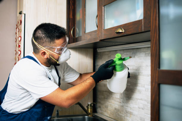Trusted Amarillo, TX Pest Control Experts