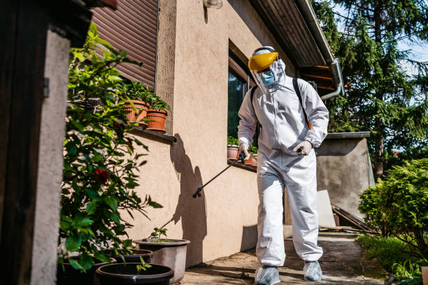 Best Pest Removal Services  in Amarillo, TX