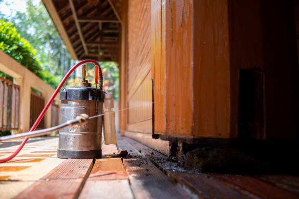 Best Mosquito Control Services  in Amarillo, TX