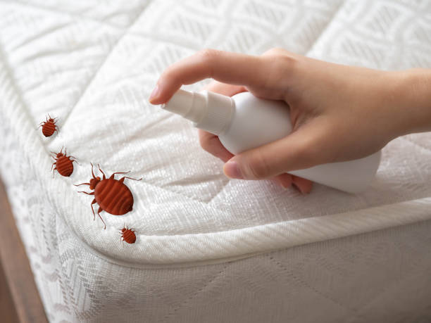 Best Pest Inspection Near Me  in Amarillo, TX