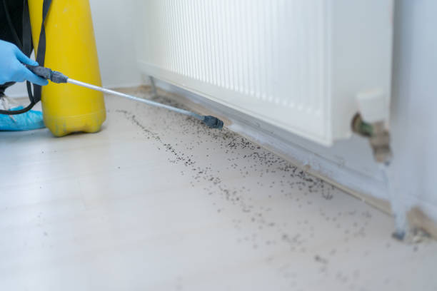Best Wildlife Control Services  in Amarillo, TX