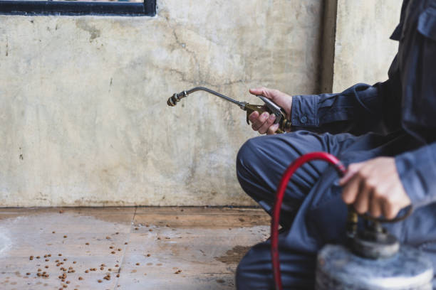Best Commercial Pest Control Services  in Amarillo, TX
