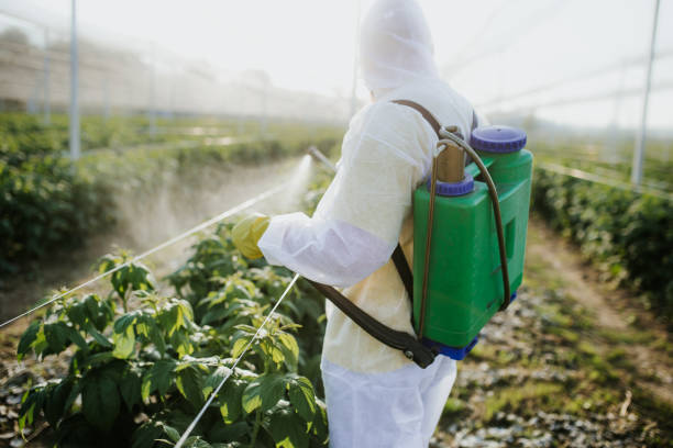 Best Pest Control for Homes  in Amarillo, TX